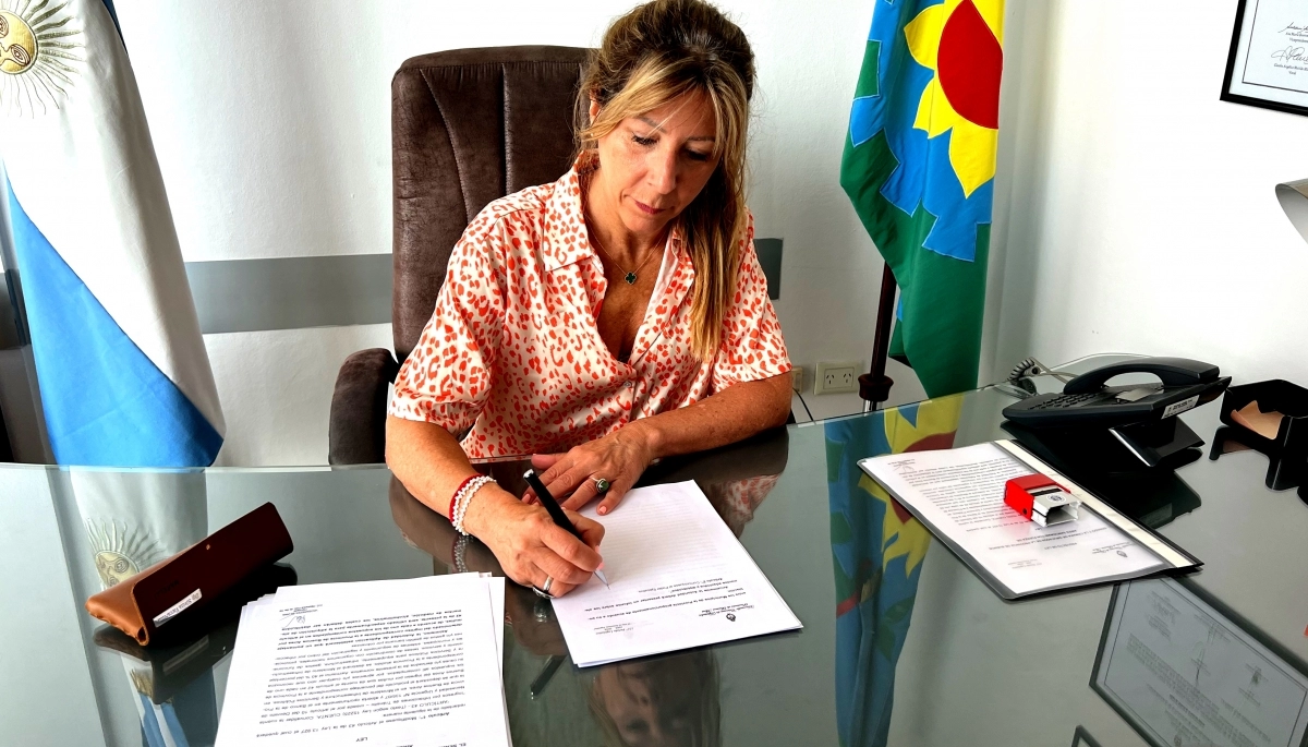 Diputada bonaerense propuso que con lo recaudado en multas de tránsito se compren alcoholímetros