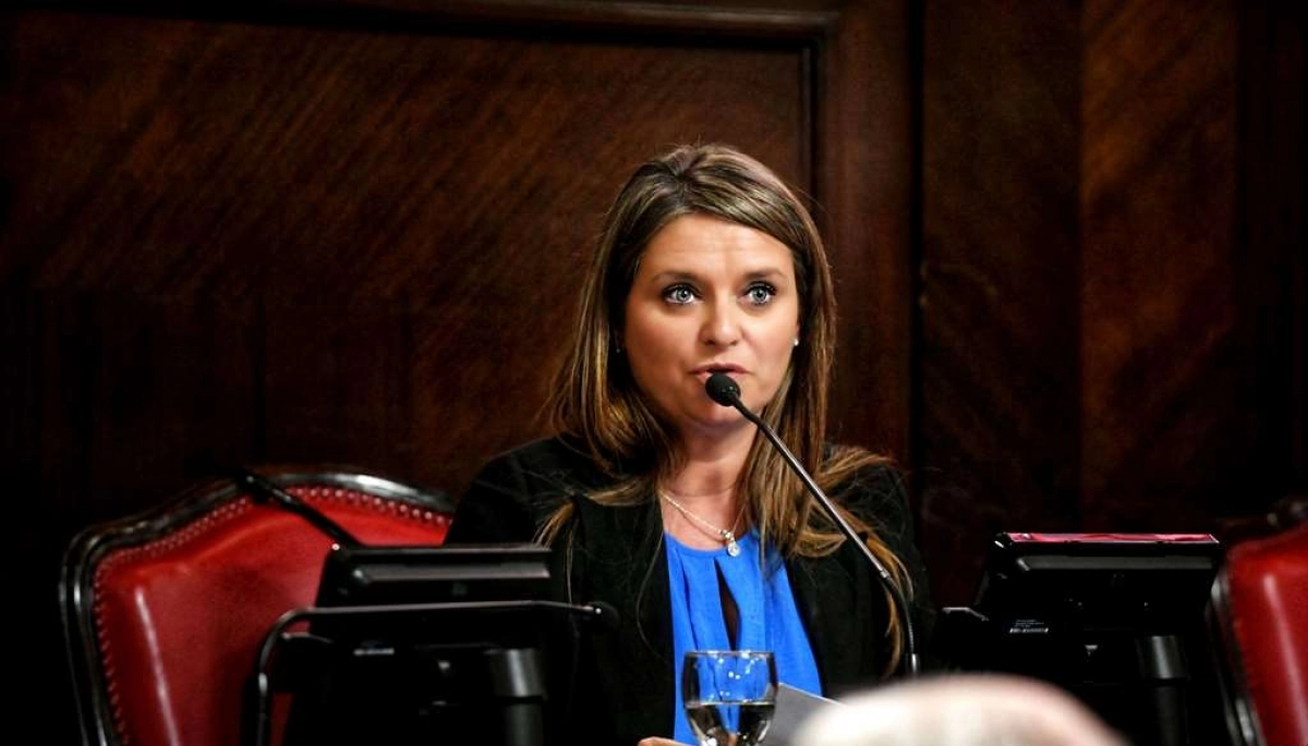 Neumann elogió el accionar de Kicillof en Bahía Blanca y bancó el aumento “razonable” de tarifas