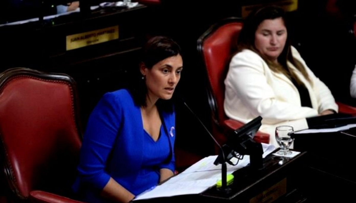 Senadora provincial disparó contra Milei por las tarifas: “Está dispuesto a eliminar a la clase trabajadora”