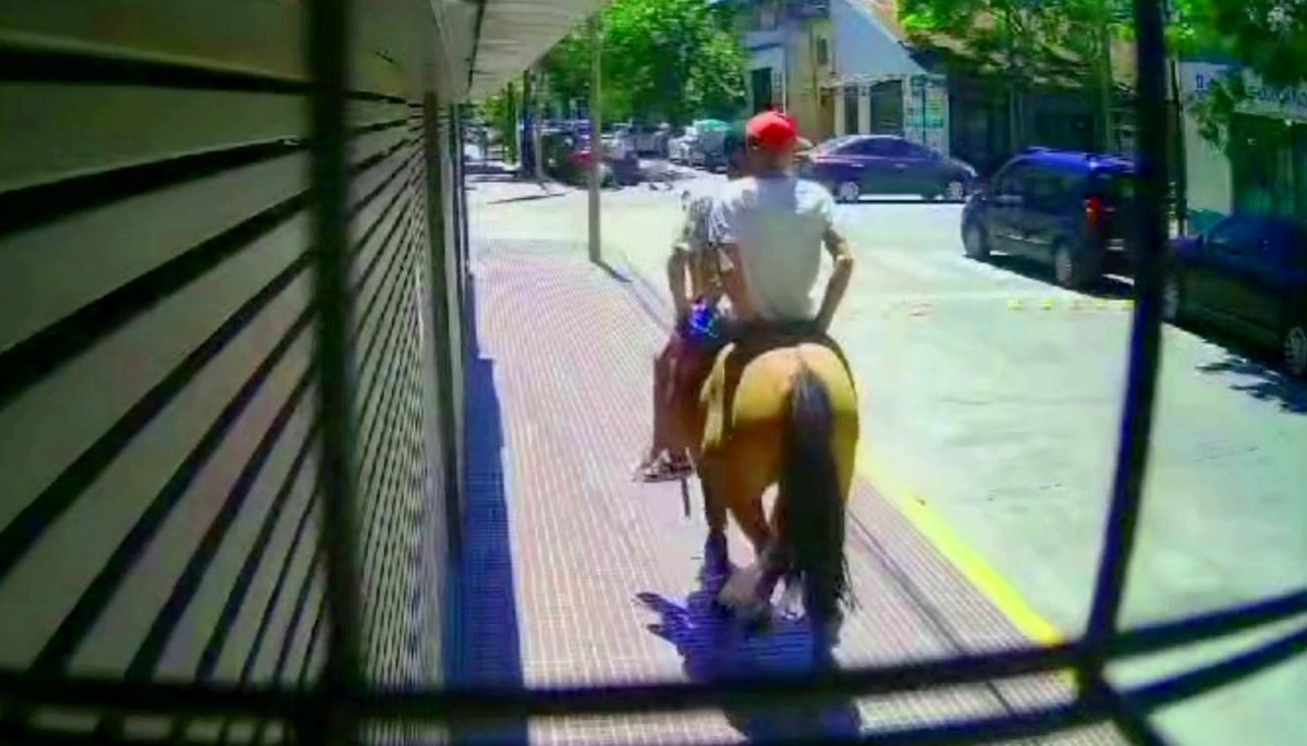 Toro y Pampa: esperaba el colectivo en el centro de la ciudad y la asaltaron dos jinetes