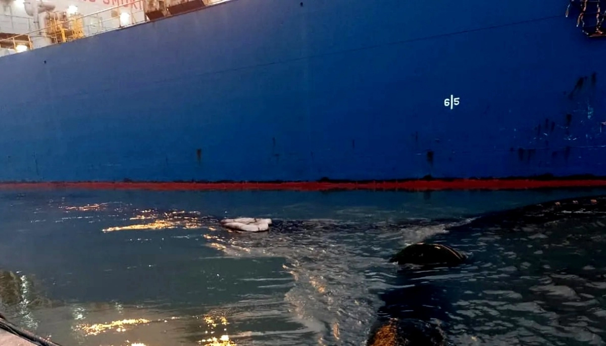 Alarmas en Bahía Blanca por un nuevo derrame de petróleo sobre la ría