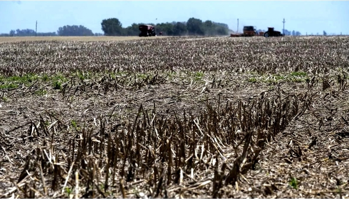 Provincia decidió extender la emergencia agropecuaria: cuáles son los municipios afectados