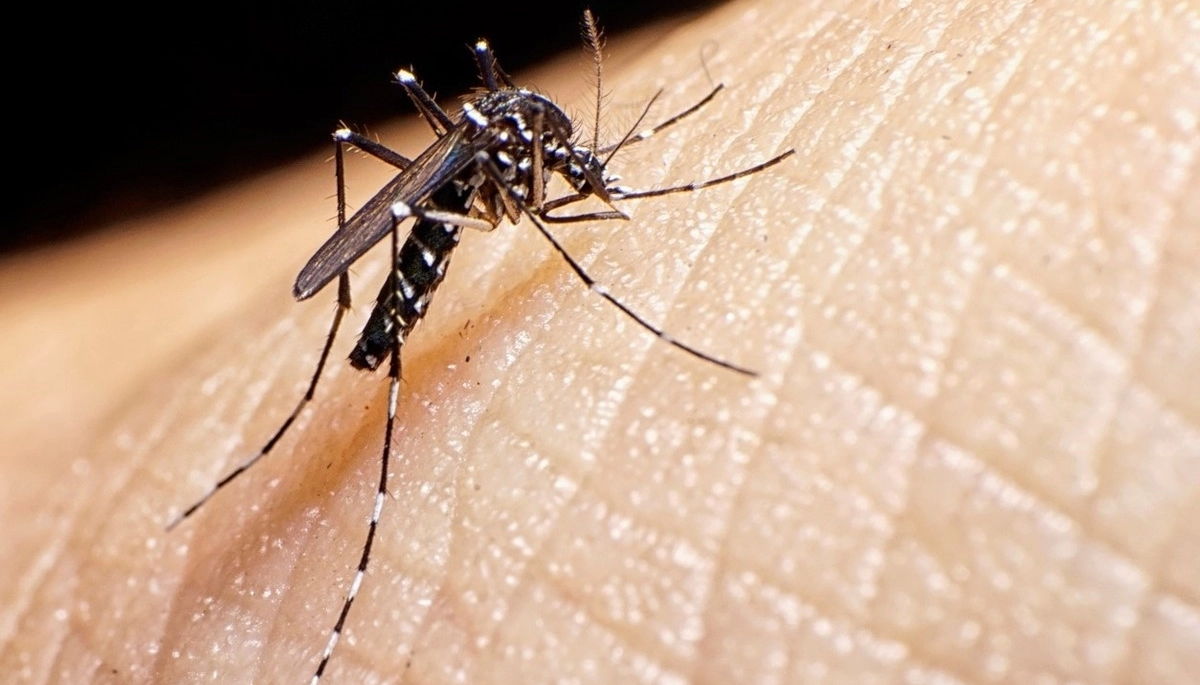 Alerta dengue: los casos no bajaron y hay 13 municipios bonaerenses con brotes declarados