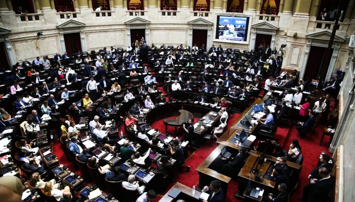 Diputados nacionales peronistas buscan convertir en Ley el “Compra sin IVA”