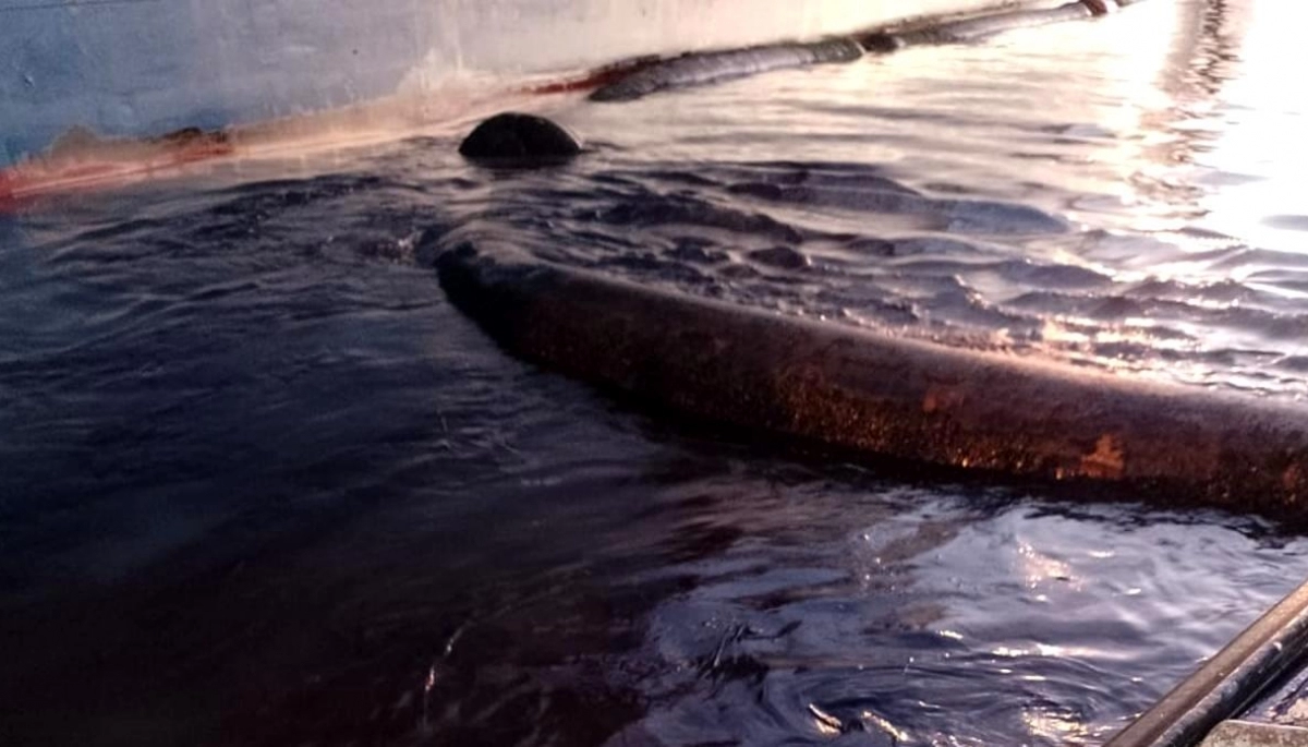 Un nuevo derrame en la ría de Bahía Blanca pone en jaque a la cosecha gruesa