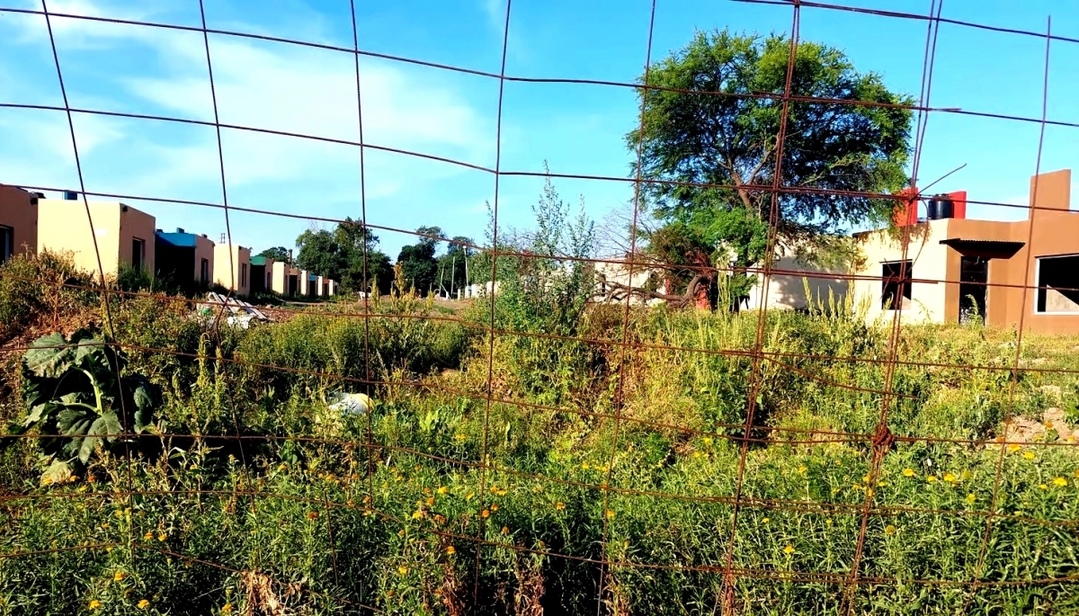 Terreno en disputa: fuertes acusaciones entre la empresa Arcor y el Municipio de San Pedro