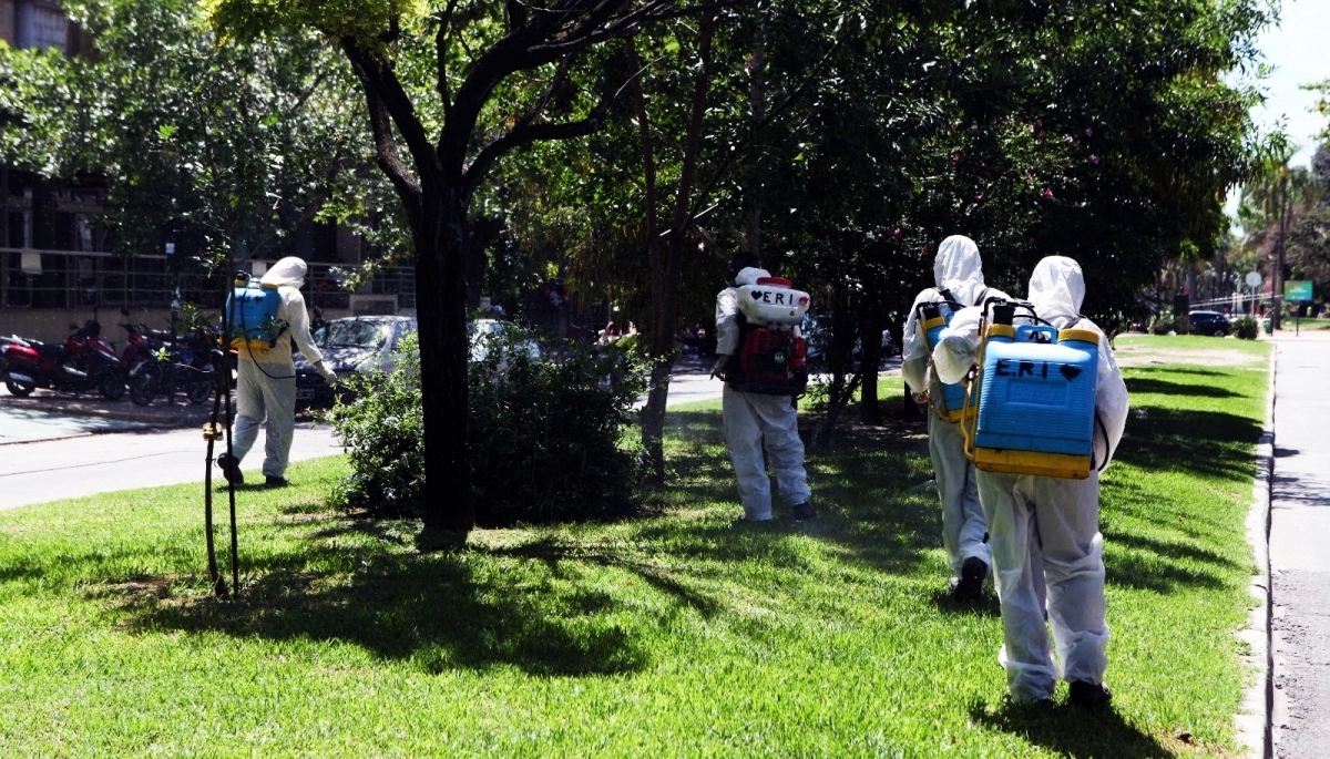 La Municipalidad de La Plata declaró un nuevo brote de dengue en el distrito