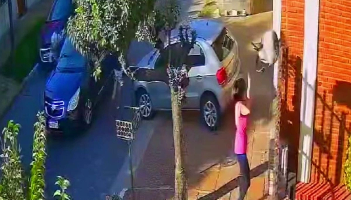 Al voleo y como pirañas le robaron el auto a una mujer que salvó la cartera con una arriesgada maniobra