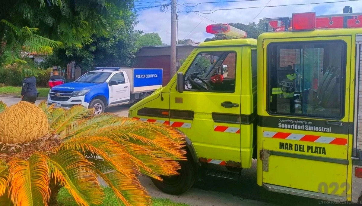 Subió a hacer una reparación y encontró un cadáver en el techo de la casa