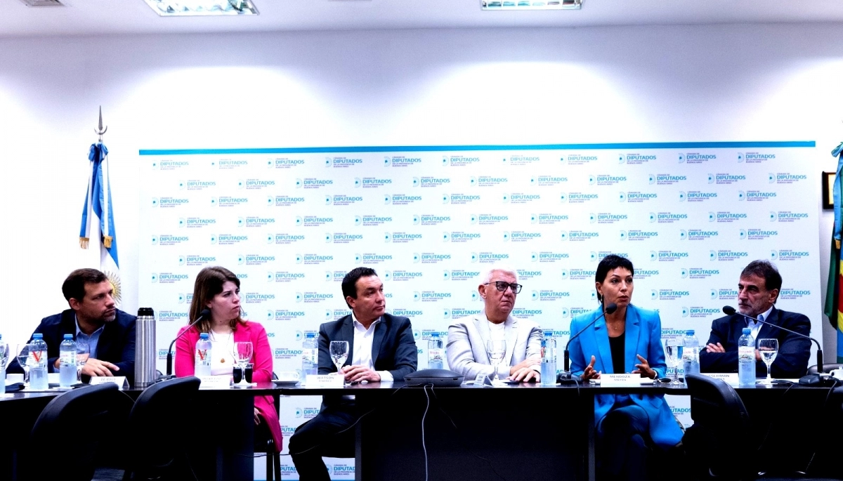 Intendentes del Conurbano presentaron en Diputados la creación del nuevo Comité Hídrico