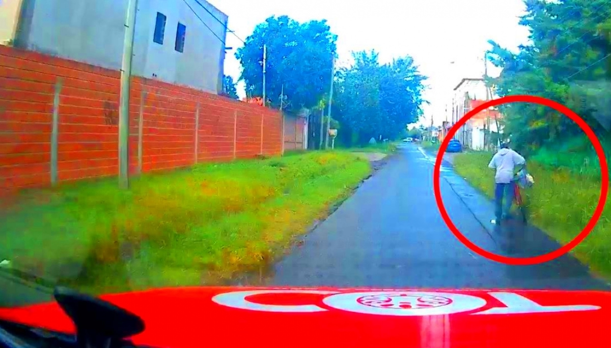 Cocodrilo que se duerme se queda sin celular: descansaba con la puerta abierta y un ratero lo dejó incomunicado