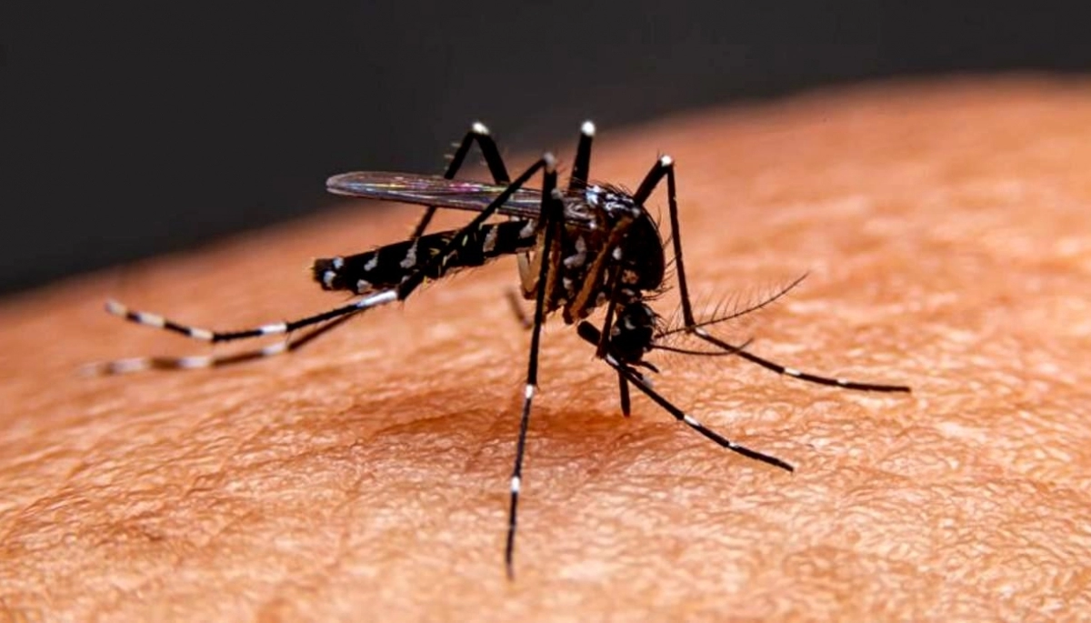 Emergencia en Provincia: hay más de 35 mil casos de dengue confirmados
