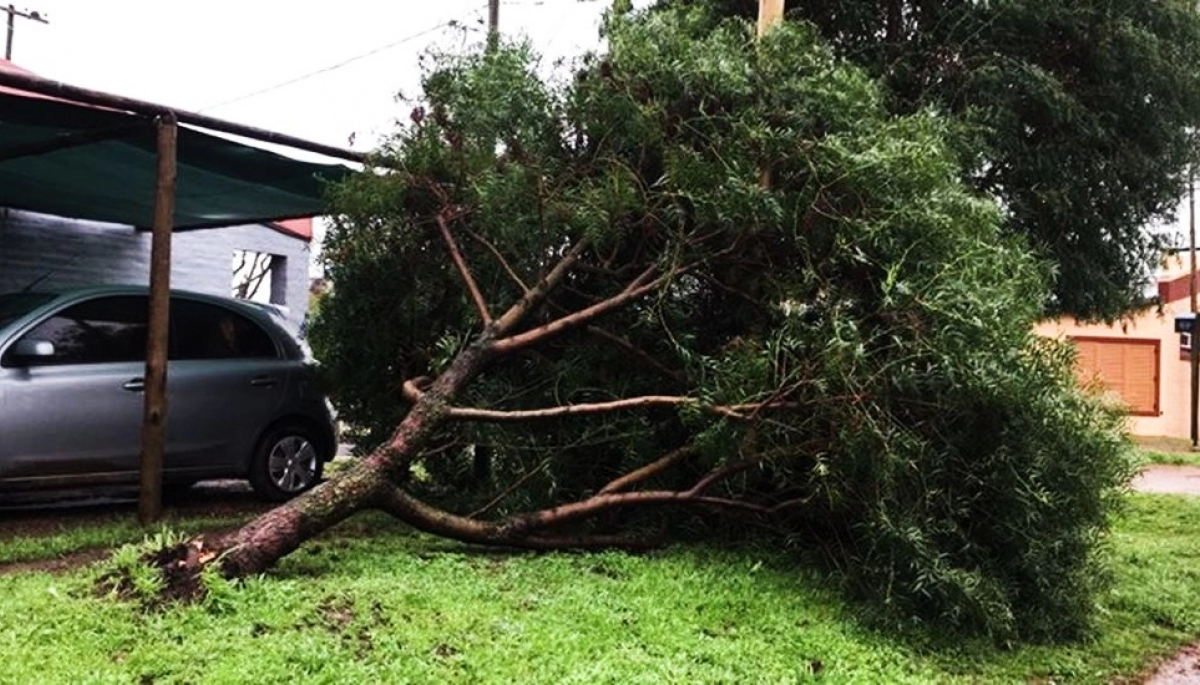Por el temporal, concejales piden a Bragado que se declaren en estado de emergencia