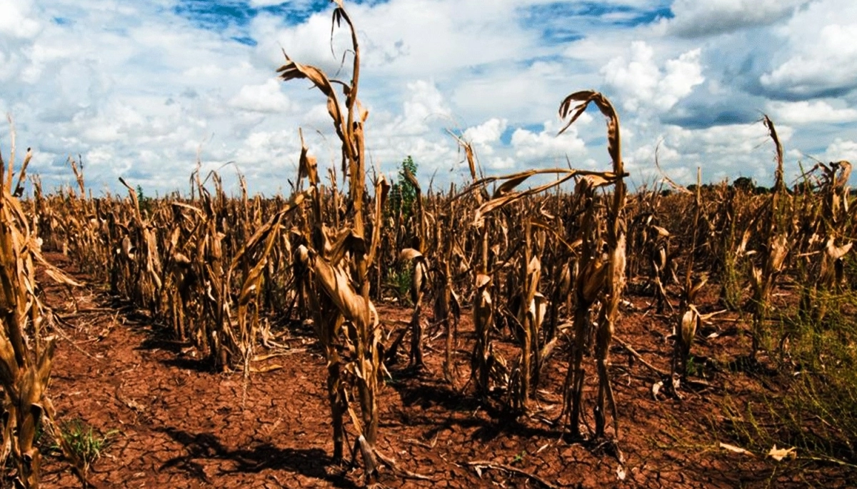 Kicillof volvió a exigirle a Milei que homologue el estado de emergencia agropecuaria