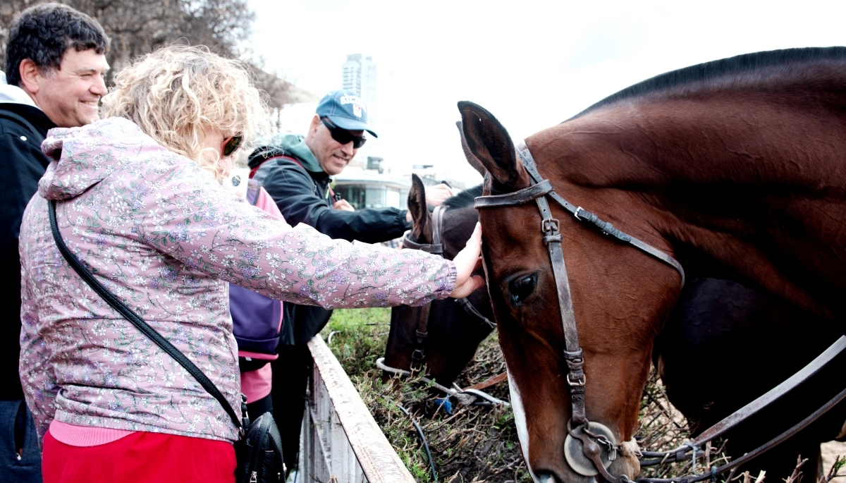 El “Gran Premio República” y otras actividades el 1° de Mayo en el Hipódromo de Palermo