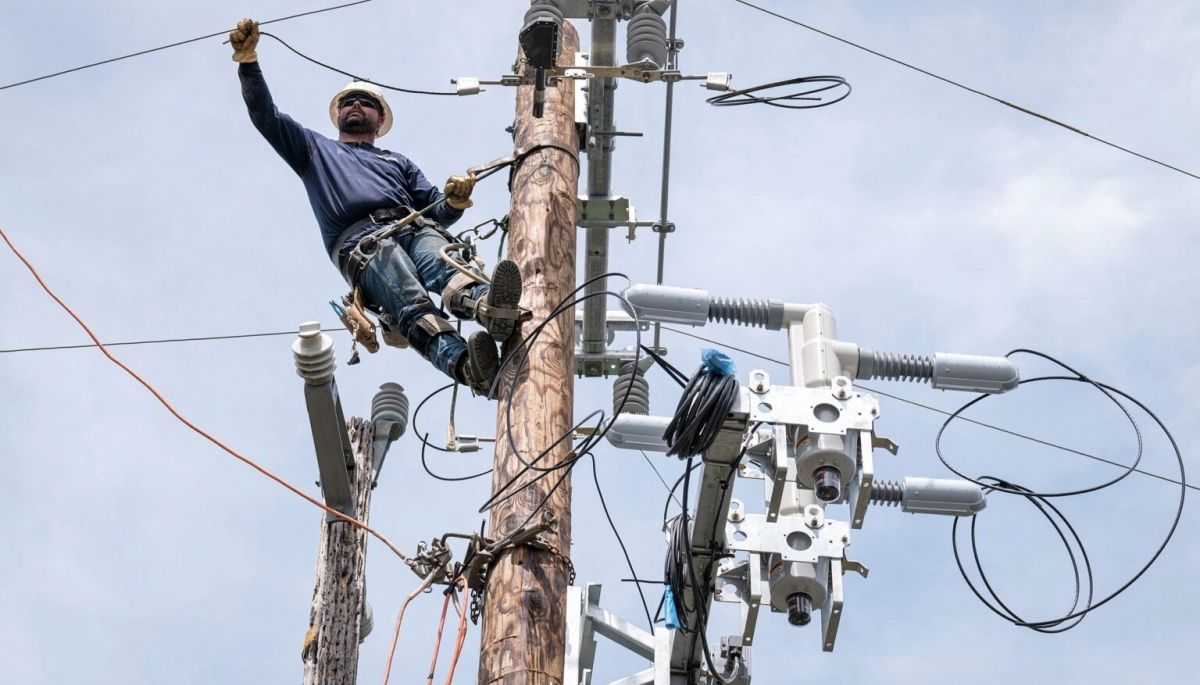 El costo oculto que cobran las eléctricas bonaerenses por el robo de los “colgados”