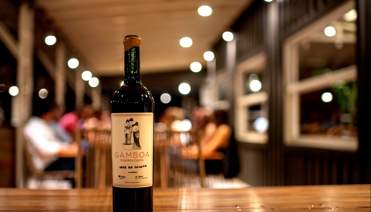 Destinos bonaerenses: dos bodegas que ofrecen catas de vino guiadas y baños de bosque