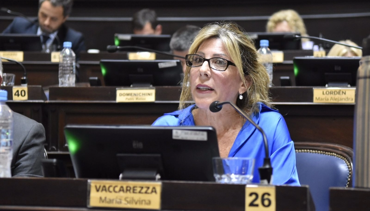 Vaccarezza presentó un proyecto para asistir a víctimas de cosmeticorexia
