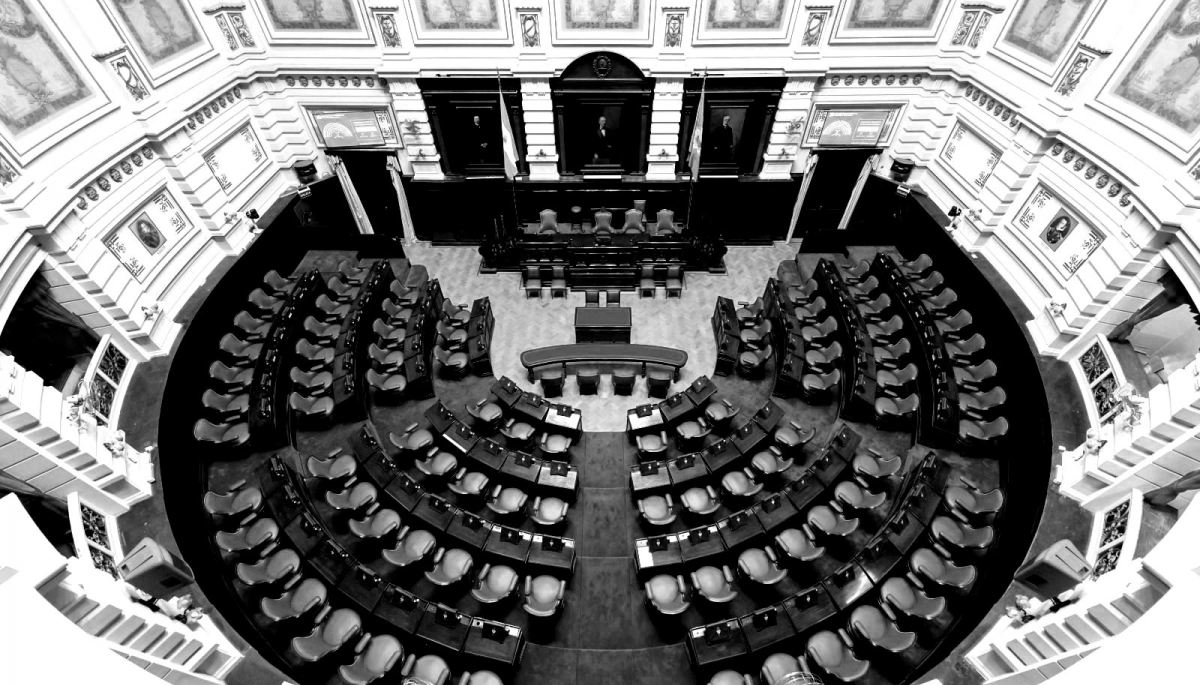 Legislatura convulsionada: los "libertarios Blue", Pettovello y el massismo en alerta