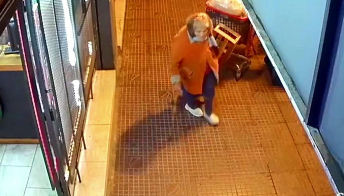 Sociedad rota: tiene 80 años, sobrevive "cartoneando" y un incalificable le robó el carro