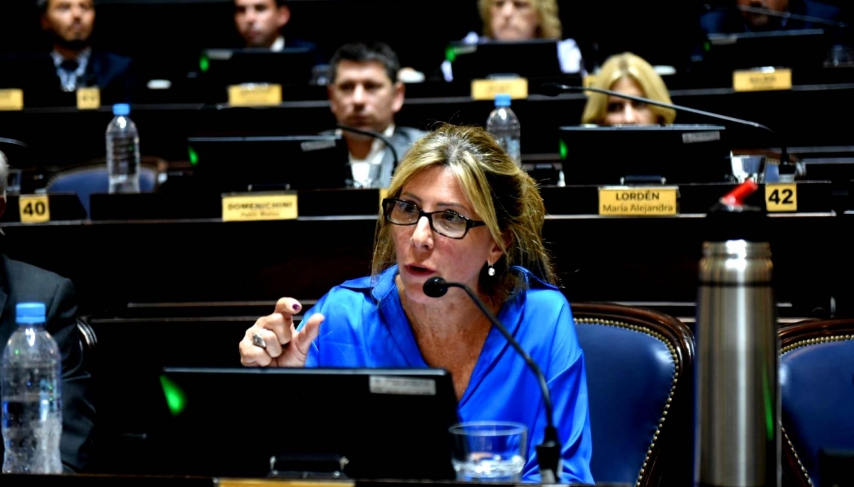 Vaccarezza rechazó la creación de empresas de salud de Kicillof: “Carece de coherencia”