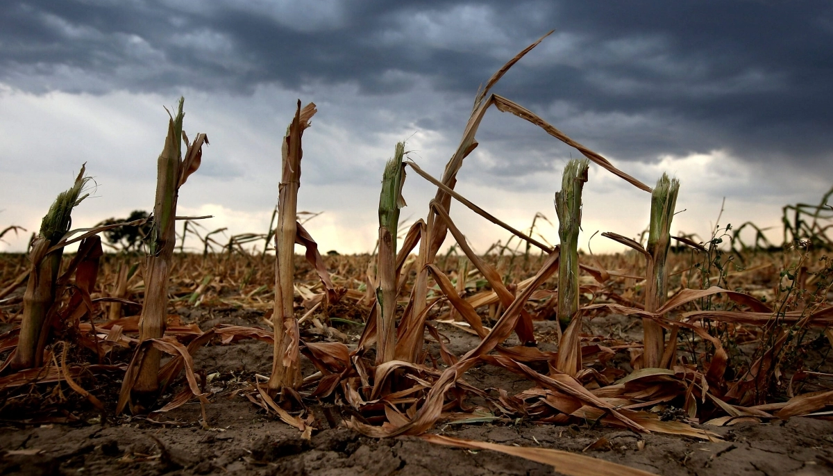 Caos natural: el Gobierno bonaerense declaró la emergencia agropecuaria en Balcarce