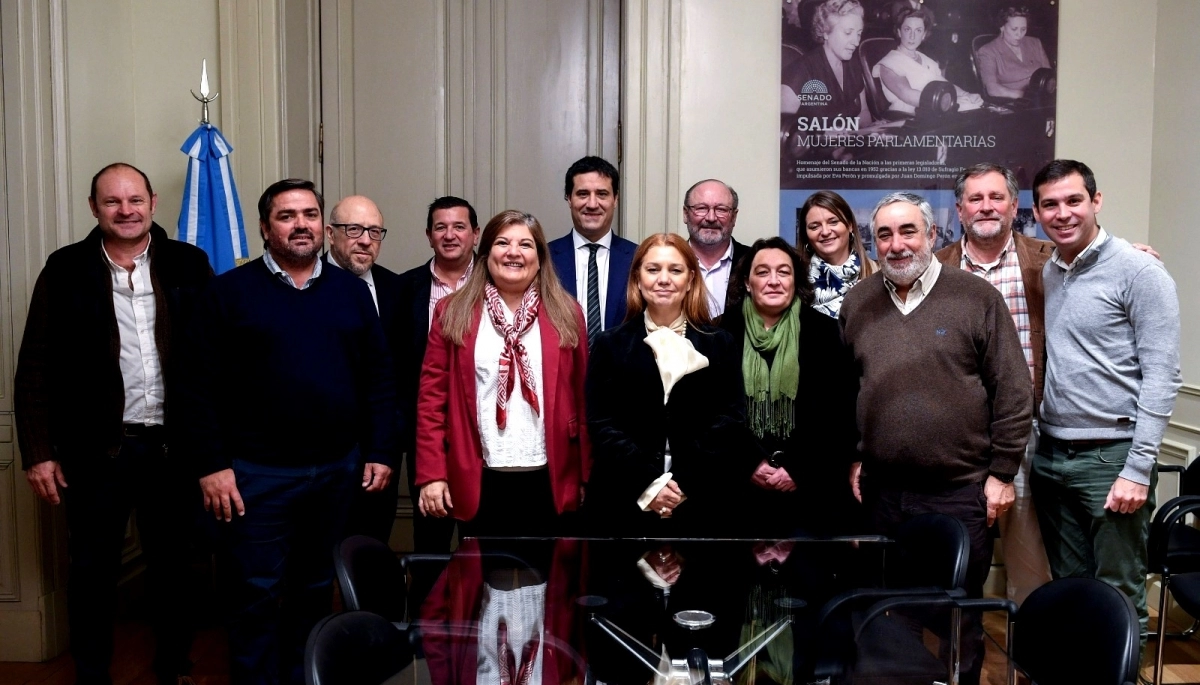 En el Senado nacional, el radicalismo bonaerense busca impulsar las obras de la Autovía de la Ruta 5