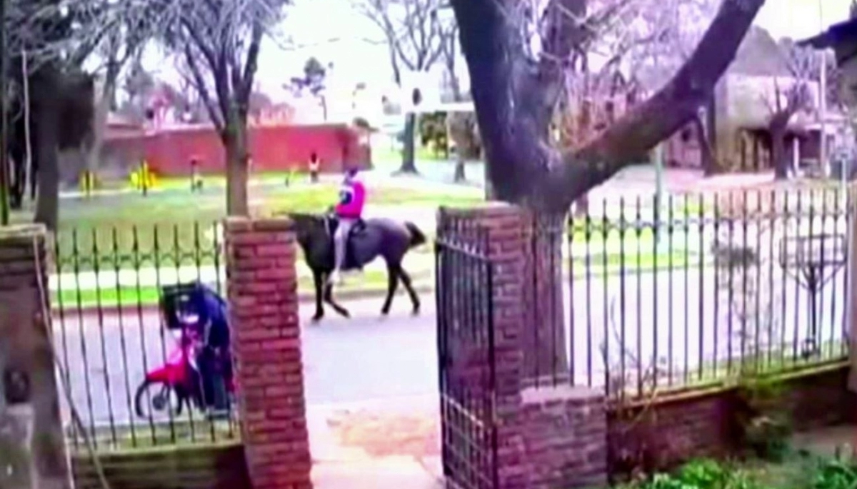Llamen a un Sheriff: un sujeto a caballo asaltó a una motoquera