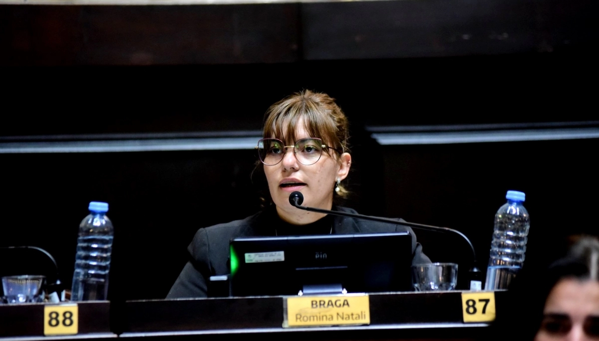 Braga dio detalles sobre los beneficios de aplicar la Boleta Única de Papel en la Provincia