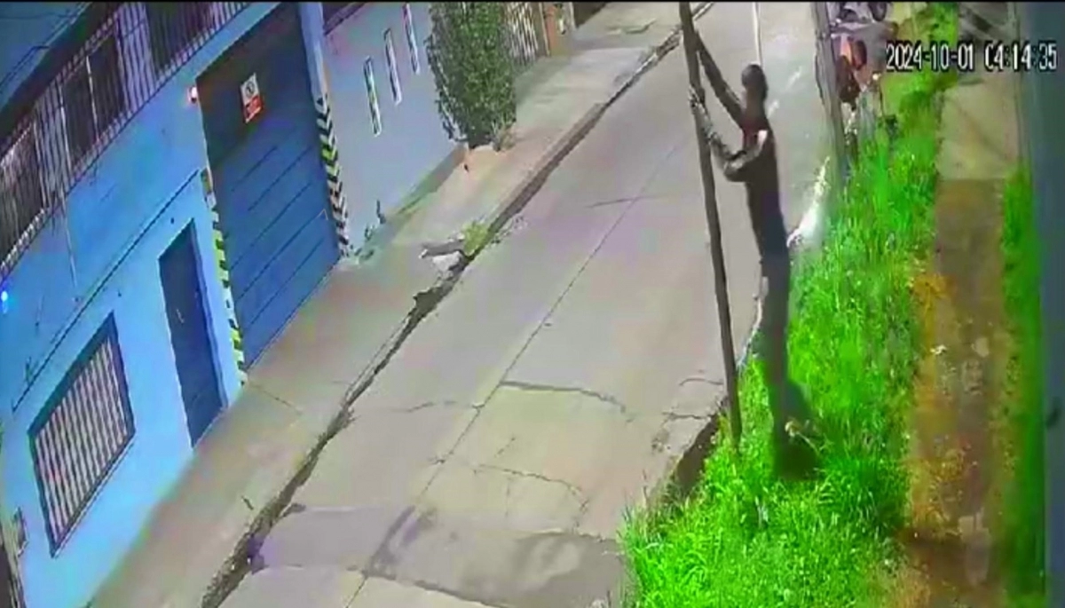 Inseguridad en Quilmes: falsos cartoneros roban luminarias y los vecinos son asaltados en la oscuridad