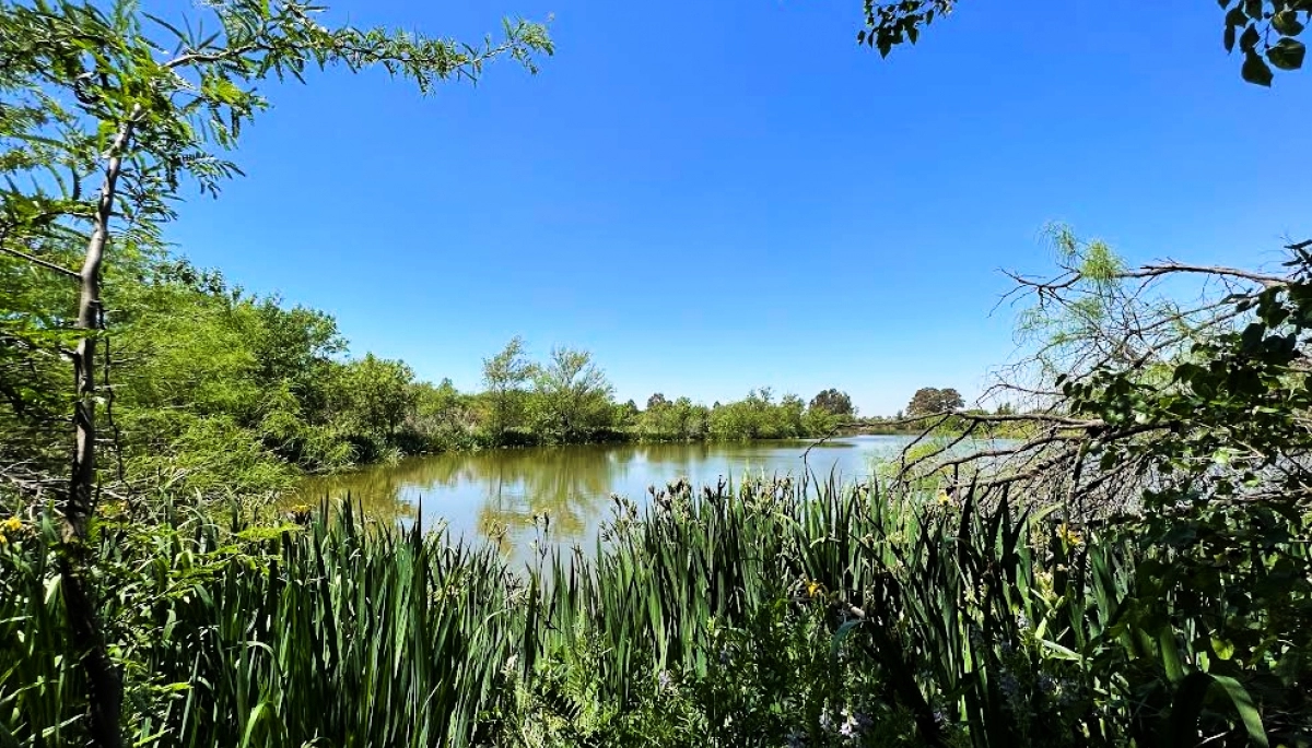 San Martín presentó un proyecto para crear la primera Reserva Ecológica de la ciudad