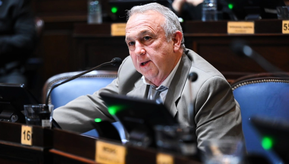 En Provincia: para implementar la Boleta Única de Papel, “libertarios dialoguistas” piden eliminar las PASO