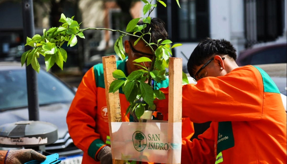 San Isidro: el Plan Integral de Arbolado ya sumó 1500 nuevos árboles y se hicieron 3000 podas