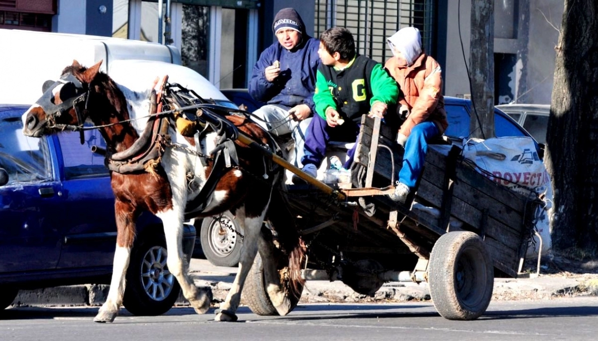 Delmonte busca eliminar la tracción animal en la Provincia con un programa de sustituciones