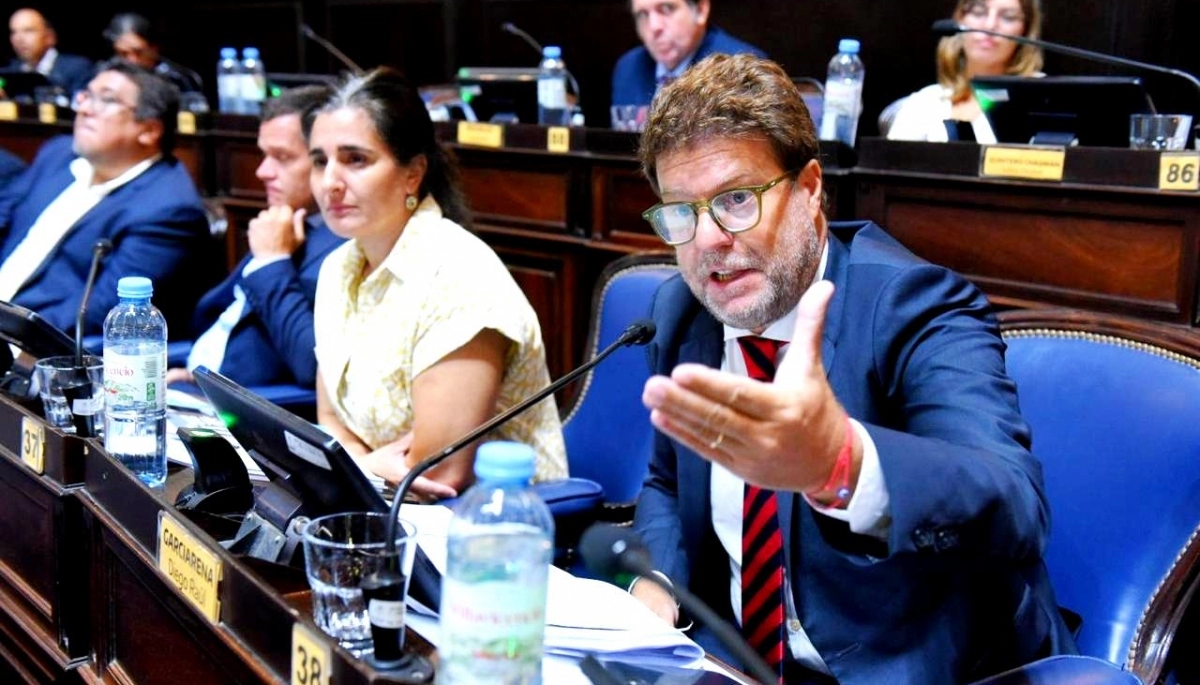 “Vemos muy lento el proceso”: Garciarena adelantó que el Presupuesto y la Ley Fiscal podría aprobarse recién en 2025