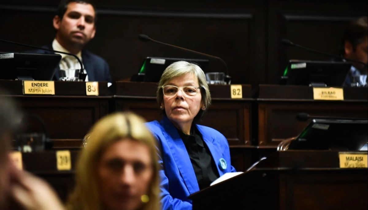 Malaisi cargó contra Kicillof y Diz por el problema generado por el acuerdo entre IOMA y Navarro
