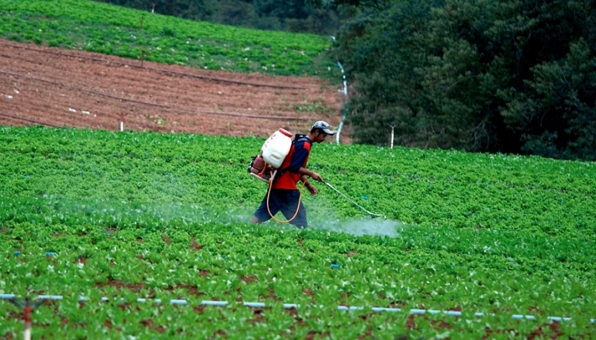 El gobierno de Kicillof volvió a extender la prorroga a la ley sobre agroquímicos