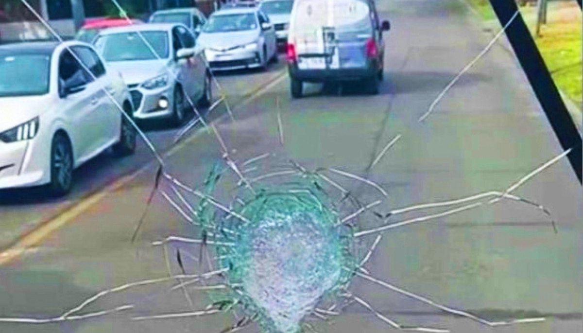 Estados alterados: una discusión de tránsito acabó con un particular destrozando un colectivo