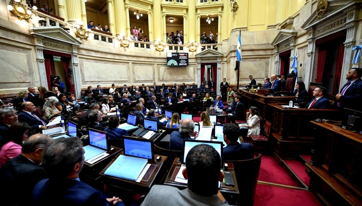 Con mayoría absoluta: el Senado nacional convirtió en ley la suspensión de las PASO para este año