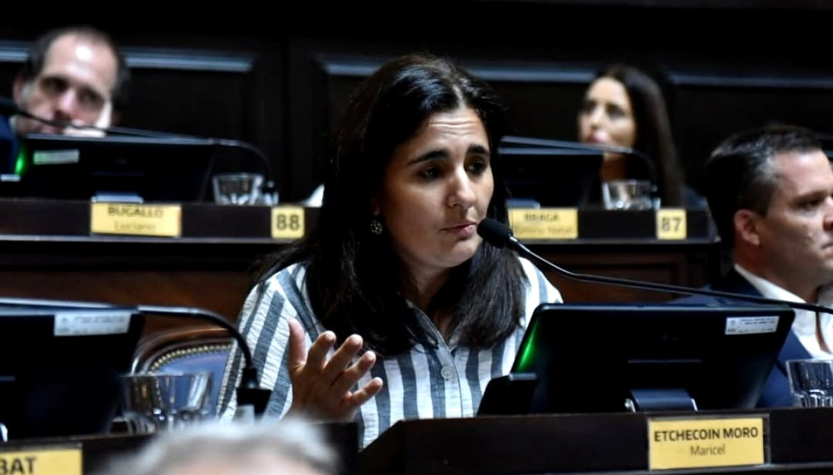 Previo a la sesión en Diputados, otro bloque opositor pide suspender las PASO en el terreno bonaerense