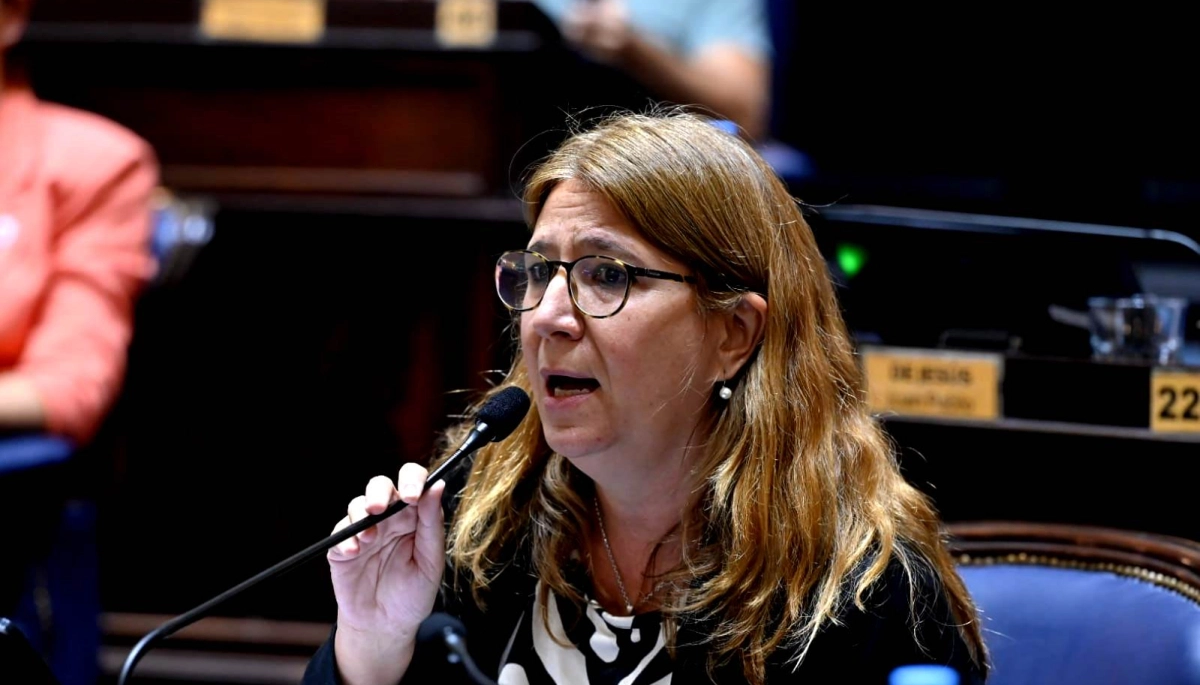 Convulsión en el peronismo: habló la legisladora kicillofista que se ausentó en la fallida sesión por las PASO