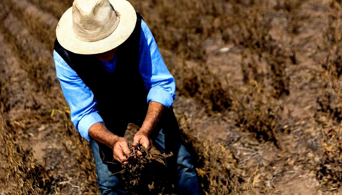 Quejas por el estado de los caminos y tasas municipales: el campo bonaerense exige “respuestas”