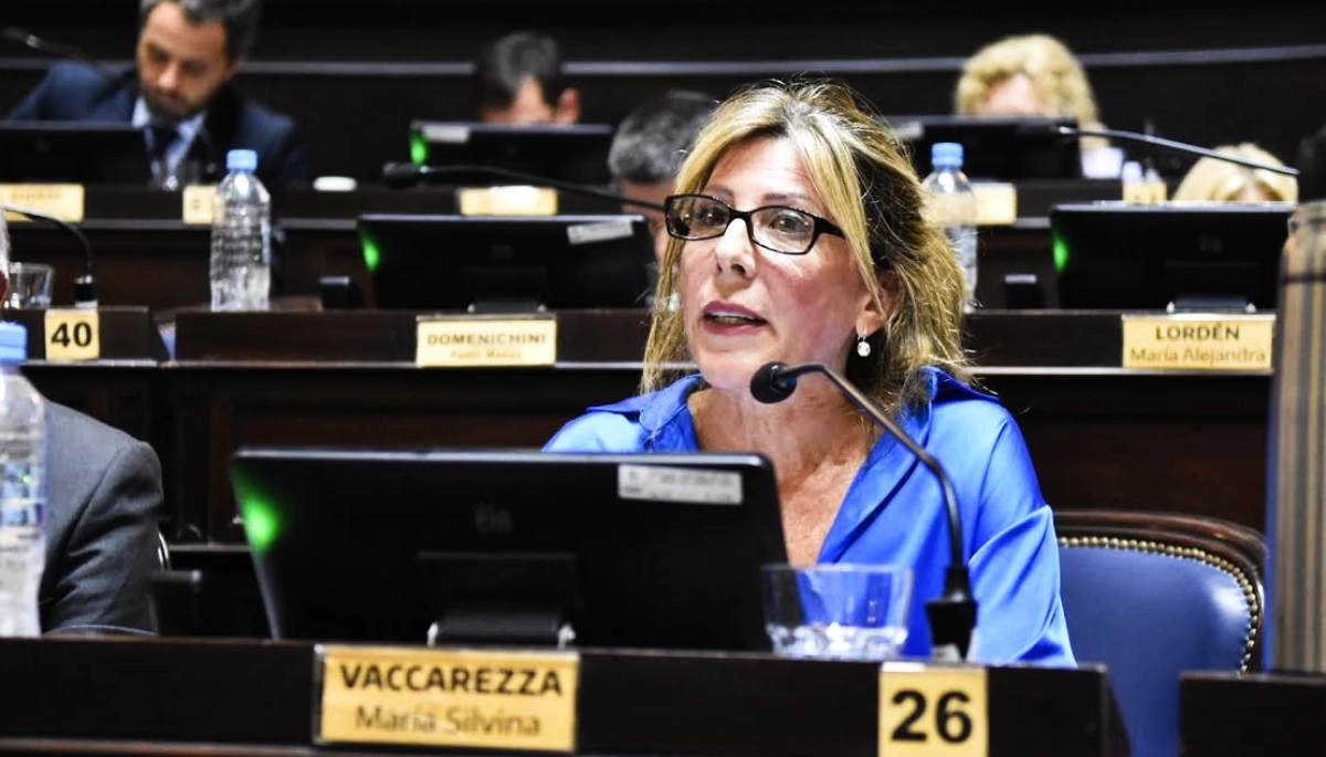 Vaccarezza presentó un proyecto para implementar el "Sistema de Familia de Corazón" para niños vulnerables