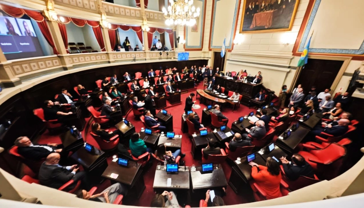 Senadores radicales aprobaron la suspensión de las PASO, pero criticaron la demora por la interna del peronismo