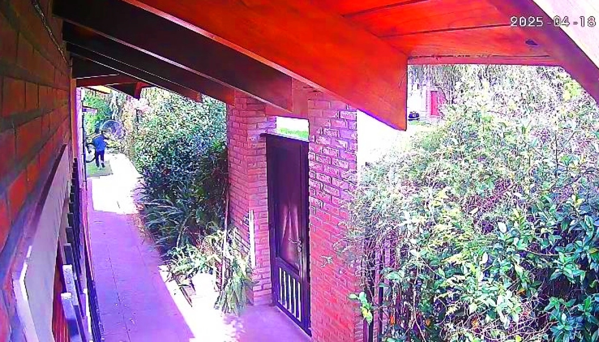 Inseguridad en La Plata: reptó debajo del cerco y robó una costosa bicicleta en Villa Castells