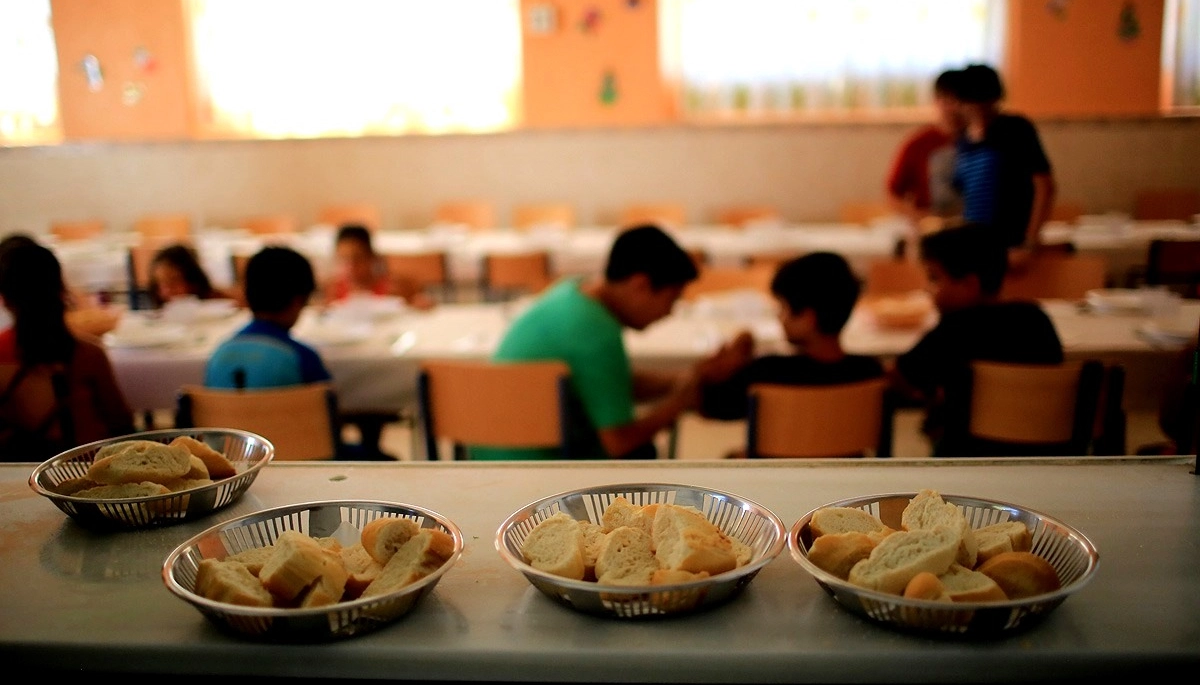 Legislatura bonaerense: buscan agregar la educación alimentaria a la currícula de escuelas provinciales