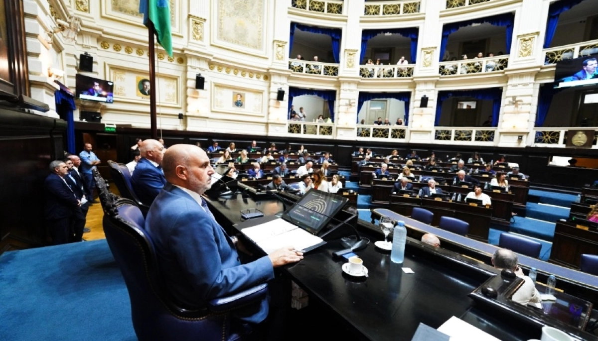 Sin más dilatación, Diputados sesionará para la suspensión de las PASO el próximo lunes