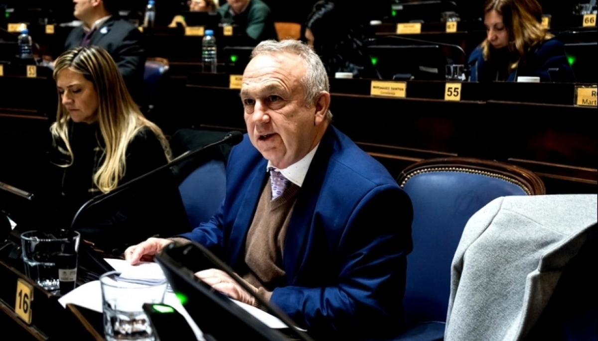 Ellos si van: libertarios “dialoguistas” asistirán a la reunión de la Junta Electoral para discutir el cronograma