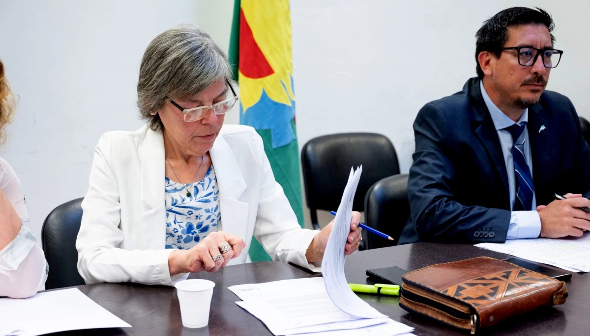 La diputada radical que presentó varios proyectos para asistir a los municipios afectados por el temporal
