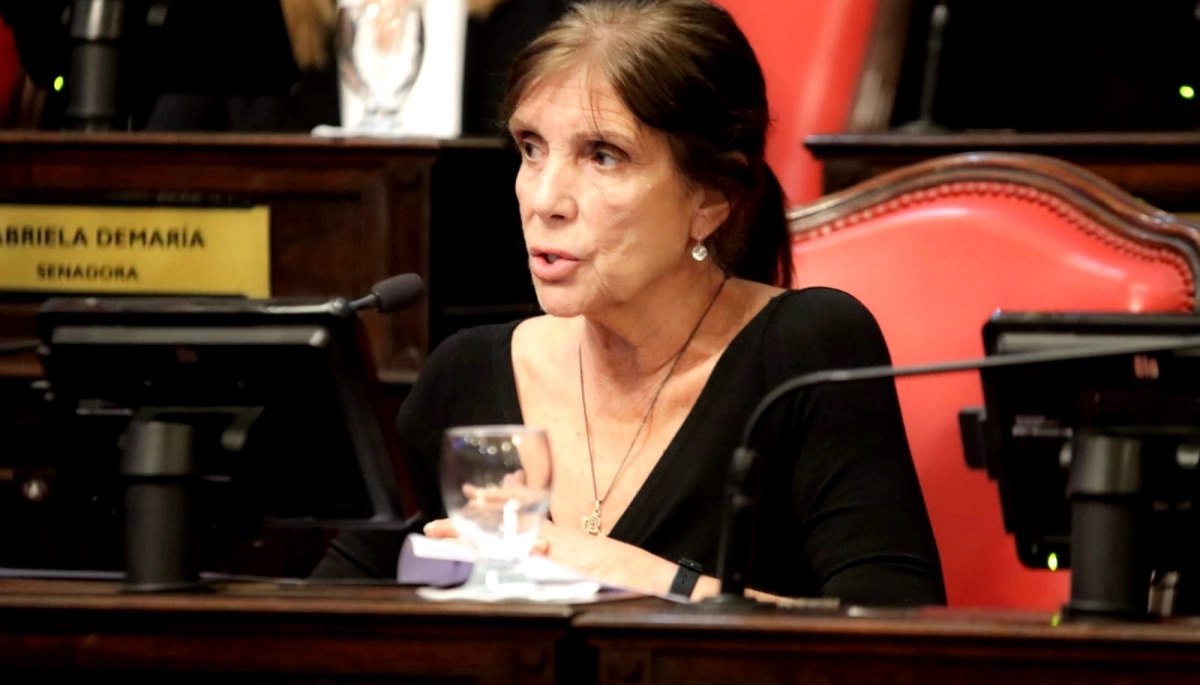 Senadora cristinista apuntó a Bianco: “No puede venir a decirnos que levantemos la mano sin chistar”